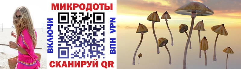 купить наркотик Гвардейск KRAKEN как войти Галлюциногенные грибы мухоморы